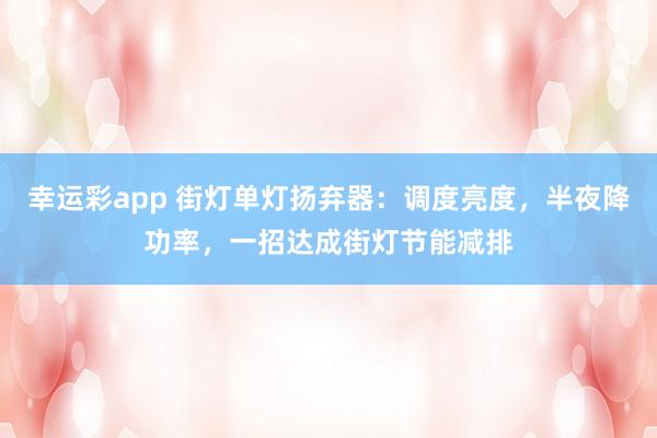 幸运彩app 街灯单灯扬弃器：调度亮度，半夜降功率，一招达成街灯节能减排