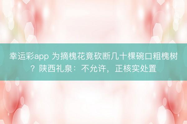 幸运彩app 为摘槐花竟砍断几十棵碗口粗槐树？陕西礼泉：不允许，正核实处置
